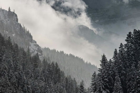 The Best Season for Getting Tattooed: Why Winter Reigns Supreme